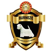 Burneze westies 2025